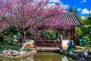 木材在旅游景區(qū)中的具體應(yīng)用 上