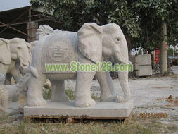 大象 產(chǎn)品展示 遠(yuǎn)航石材工藝 寺廟古建 人物 動(dòng)物雕刻 園林噴水 藝術(shù)柱 龍柱 大型浮雕 建材欄桿等