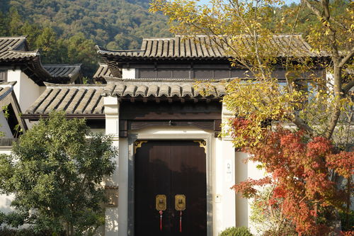 熱烈祝賀我司六個項目榮獲2019年度杭州市 優秀園林綠化工程 金獎